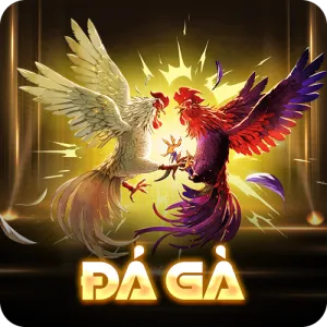 đá gà king88