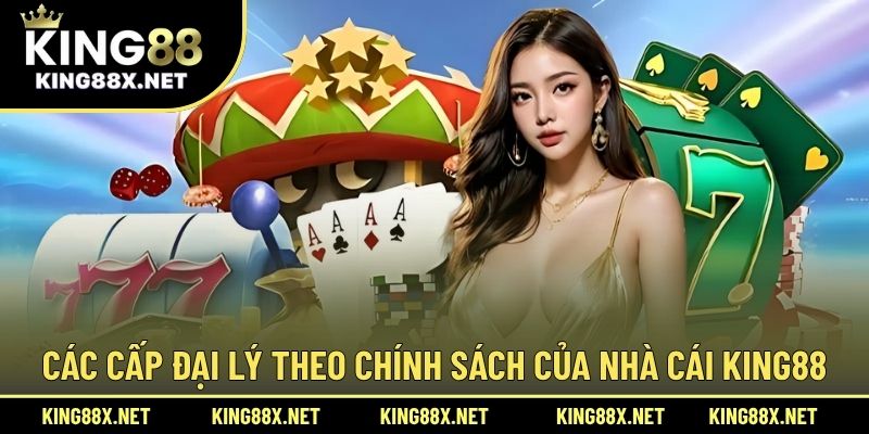 Các cấp đại lý theo chính sách của nhà cái King88