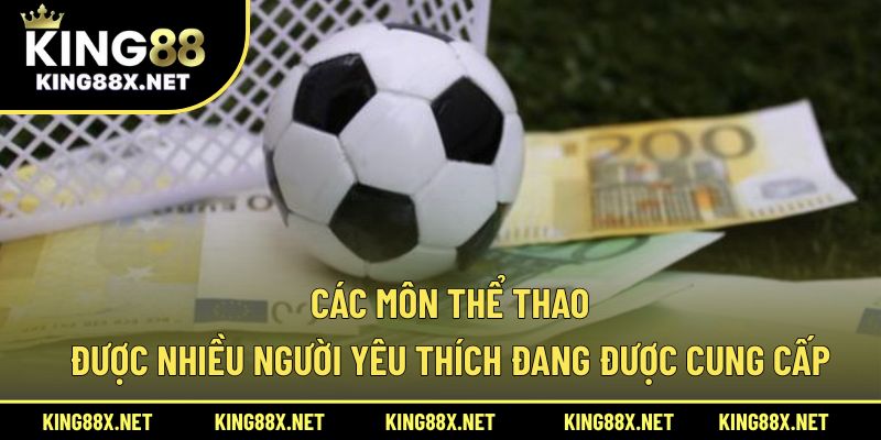 Các môn thể thao được nhiều người yêu thích đang được cung cấp