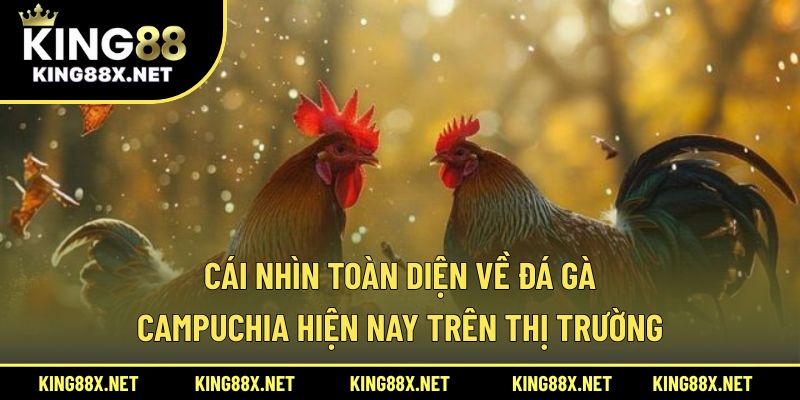 Cái nhìn toàn diện về đá gà Campuchia hiện nay trên thị trường
