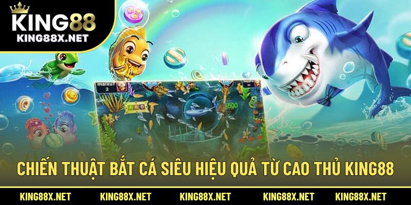 Chiến thuật bắt cá siêu hiệu quả từ cao thủ King88