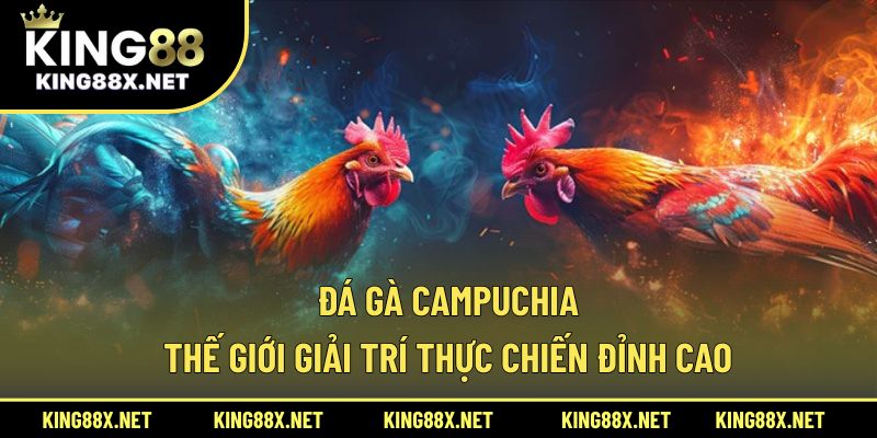 Đá gà Campuchia