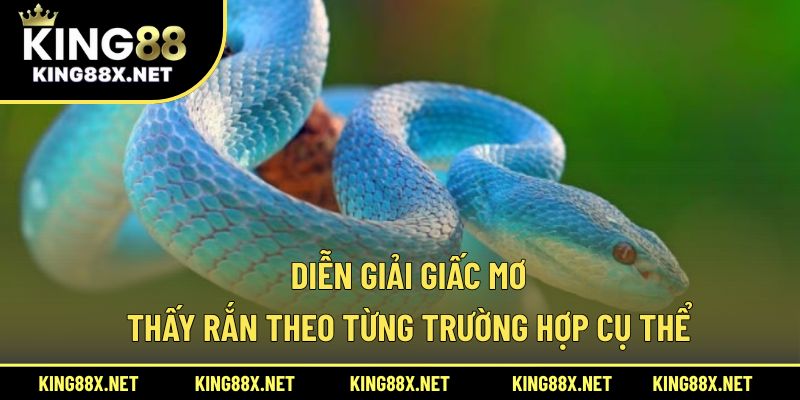 Diễn giải giấc mơ thấy rắn theo từng trường hợp cụ thể