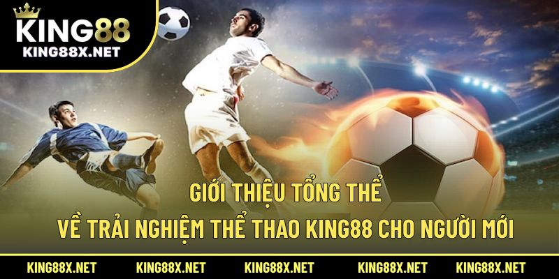 Giới thiệu tổng thể về trải nghiệm thể thao King88 cho người mới