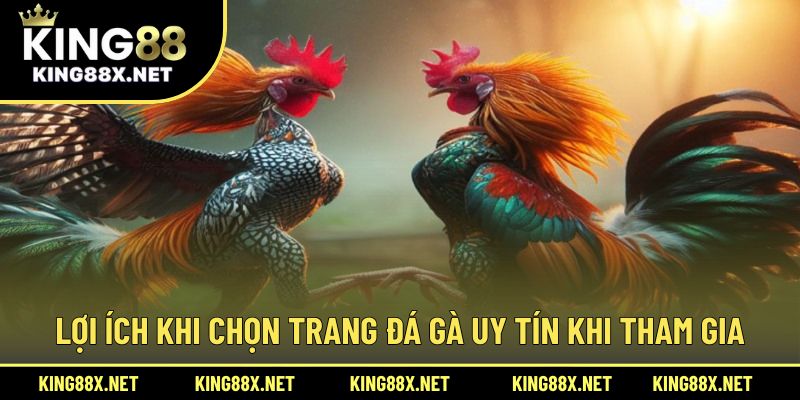 Lợi ích khi chọn trang đá gà uy tín khi tham gia