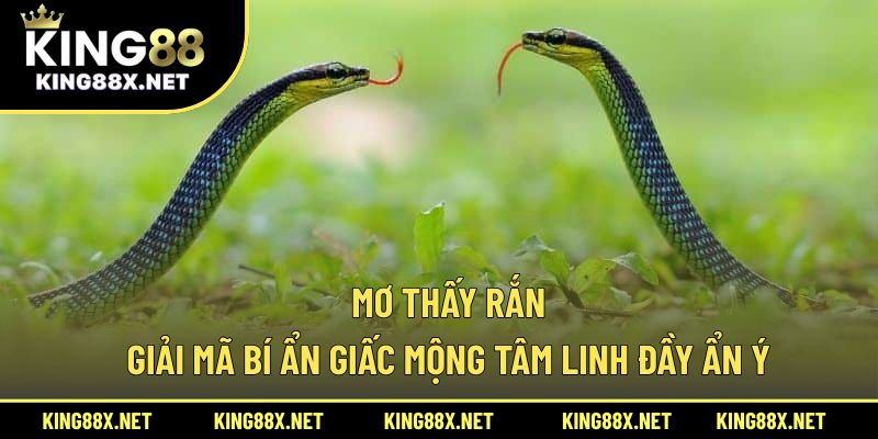 Mơ thấy rắn