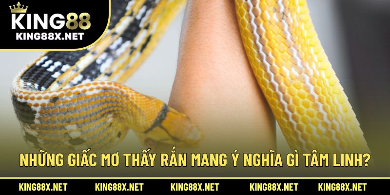 Những giấc mơ thấy rắn mang ý nghĩa gì tâm linh?