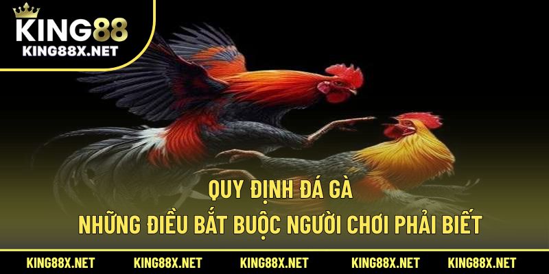 Quy định đá gà