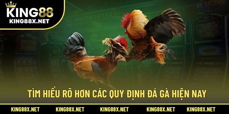 Tìm hiểu rõ hơn các quy định đá gà hiện nay