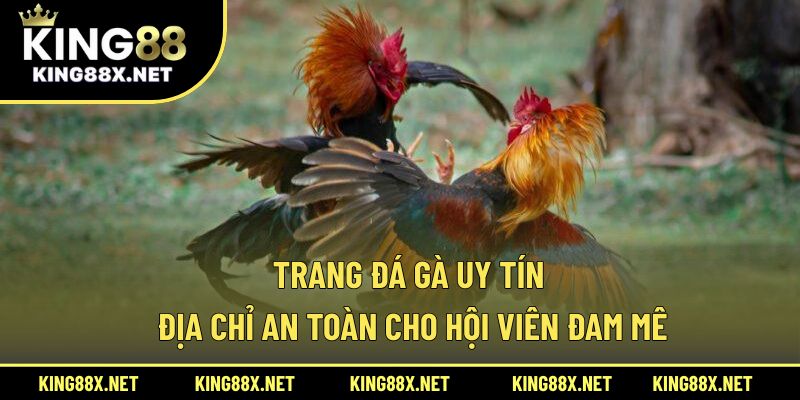 Trang Đá Gà Uy Tín